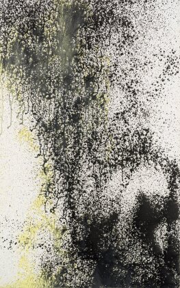 View 1 of Lot 46: T1988-H50