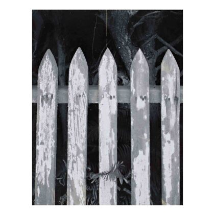 Picket Fence