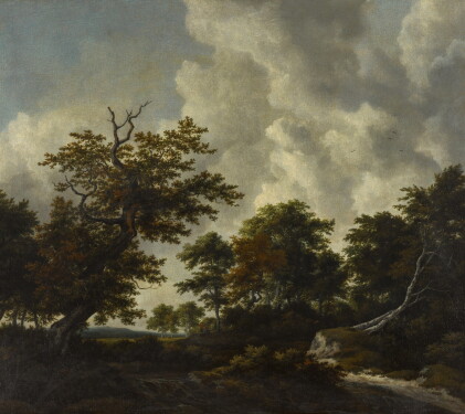 Catalog image of Bosky landscape with a large oak and two fallen beeches by a waterfall