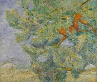 View 1 of Lot 148: Eichkätzchen (Squirrel)