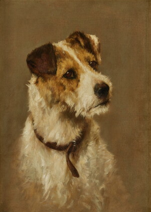 Catalog image of Rough and Ready, Portrait of a Wire-Haired Fox Terrier