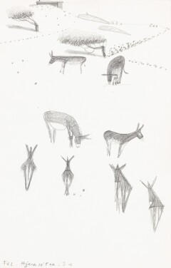 View 1 of Lot 18: Hydra