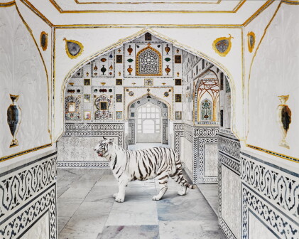 Catalog image of 'Tiger Breath, Sheesh Mahal, Amer Fort' (from the series India Song), 2020