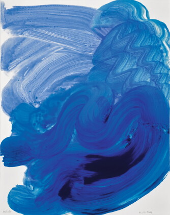 Catalog image of howard hodgkin | swimming (not in h.)