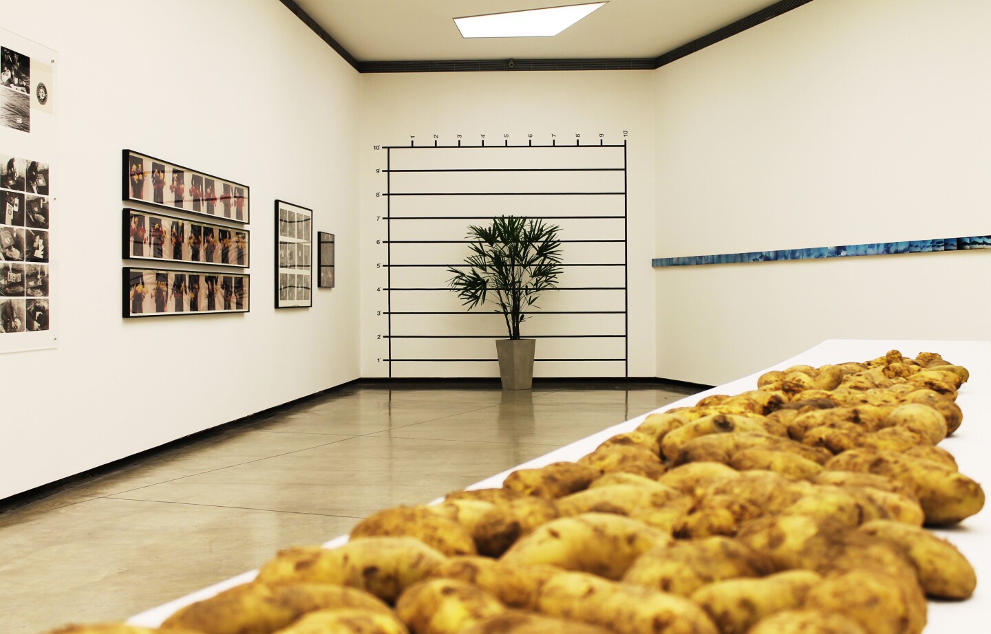 Interior View, Fundación PROA