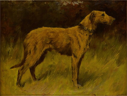 Catalog image of An Irish Wolfhound