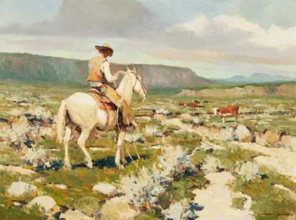 Catalog image of Open Range