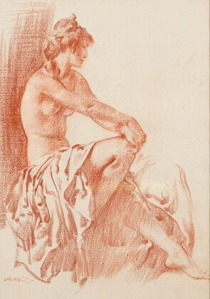 Catalog image of The Patient Model