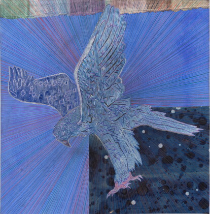 Catalog image of Hawk