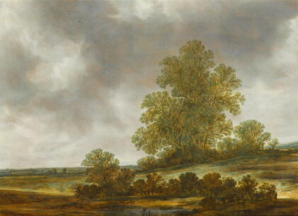 Catalog image of Wooded landscape