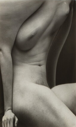Catalog image of andré kertész | distortion #166, 1932-1933