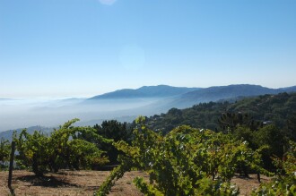 View 1 of Lot 470: Ridge, Monte Bello 2013 (12 BT)