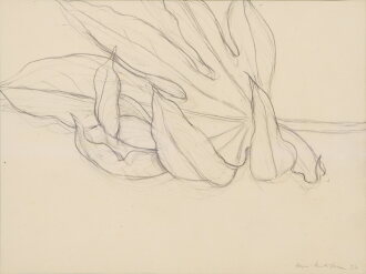 View 1 of Lot 126: Étude de feuille