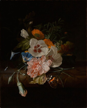 Catalog image of Still life of carnations, hibiscus, morning glories, and other other flowers on…