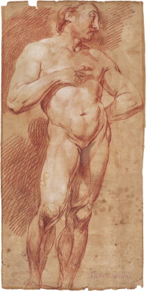 Catalog image of A male nude