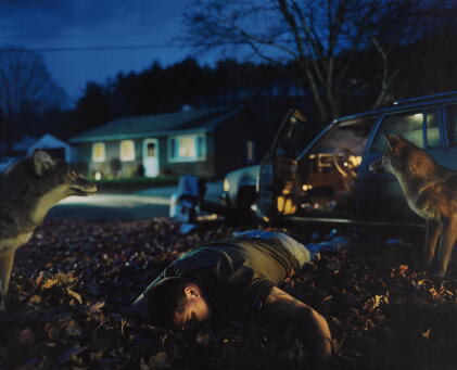 Catalog image of gregory crewdson | untitled (bud man), 1999