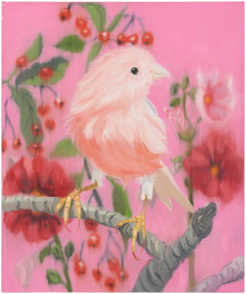 Catalog image of Pink miracle