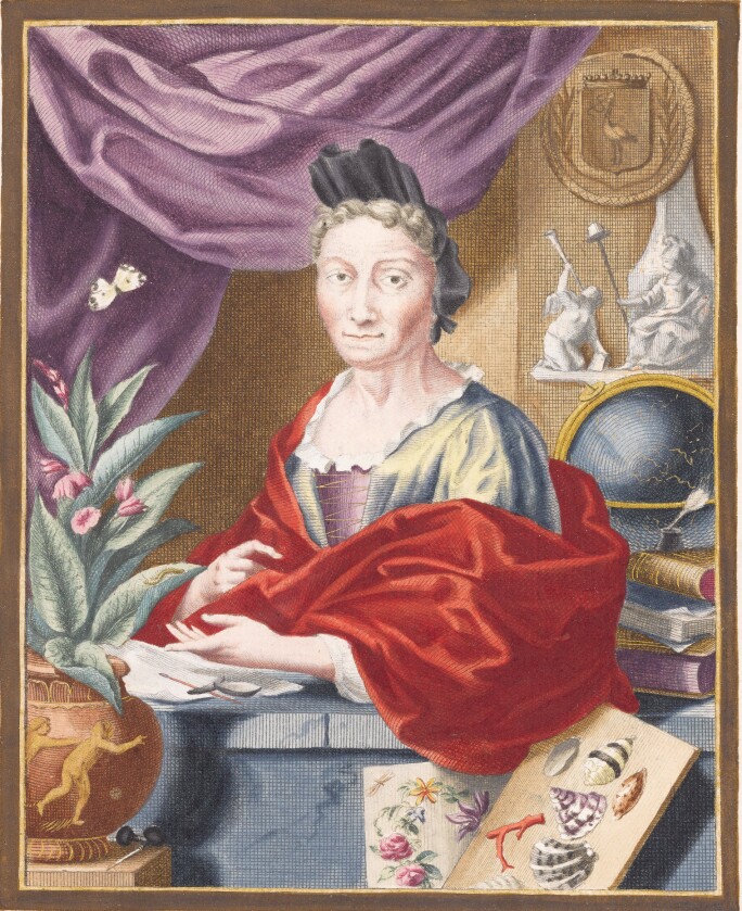 MARIA SIBYLLA MERIA ETCHING