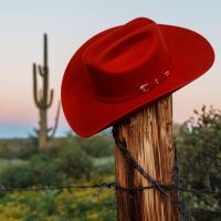 View 2 of Auction: An American Icon: The Fire Horse Stetson