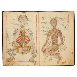 View 1 of Lot 47: Mahdi, known as Kuchak, ibn Nasr ibn Hasan al-Tabib Rashti, an illustrated anatomical text, Persia, Qajar, 19th century