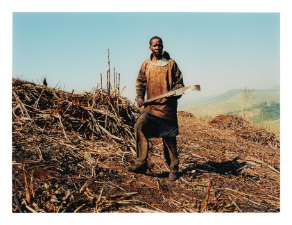 Catalog image of zwelethu mthethwa | untitled