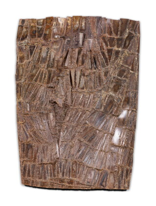 Catalog image of Relief