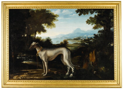 Catalog image of michele pace, called michelangelo del campidoglio | portrait of a blue greyhoun…