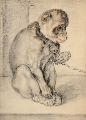 Catalog image of after hendrick goltzius | a seated monkey on a chain