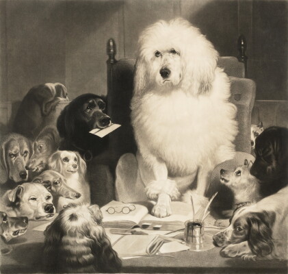 Catalog image of Laying Down the Law