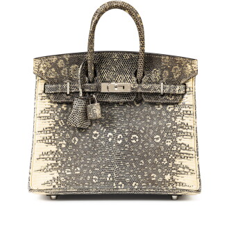 View 1 of Lot 412: Ombré Salvador Lizard Birkin 25 Palladium Hardware, 2010