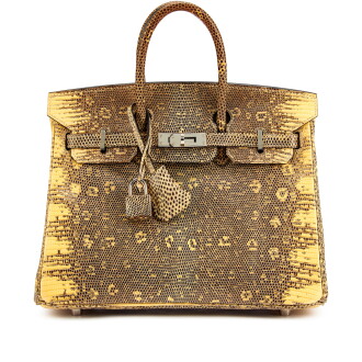View 1 of Lot 5591: Ombre Shiny Salvator Lizard Birkin 25 Palladium Hardware, 2010