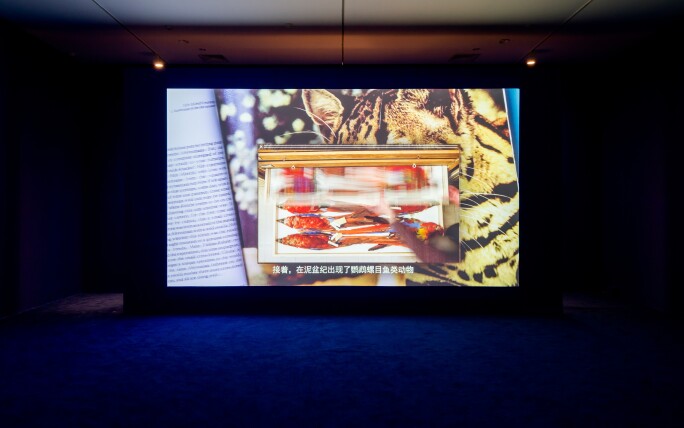 Camille HENROT, Grosse Fatigue, videio, 2013.jpg
