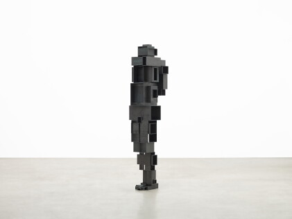Catalog image of Antony Gormley 安東尼・葛姆雷 | Open Hide