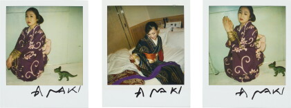 Catalog image of nobuyoshi araki 荒木經惟 | untitled (three works) 無題（三件作品）