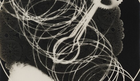 View 2 of Auction: Photographs Part II