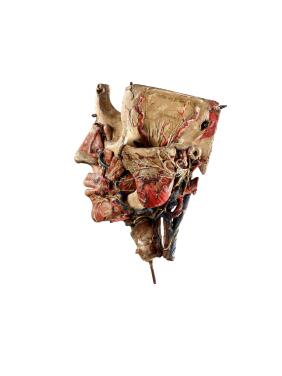 View 1 of Lot 9719: A small detachable anatomic head by Louis Thomas Jerome Auzoux (1797-1880) France, 19th century 十九世紀　法國 Louis Thomas Jerome Auzoux（1797-1880年）製紙雕頭部解剖小模型