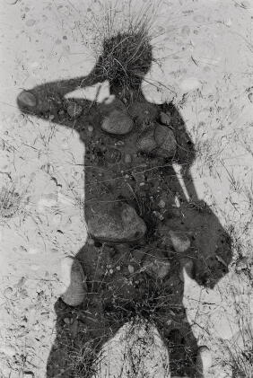 Catalog image of 'Canyon de Chelly'