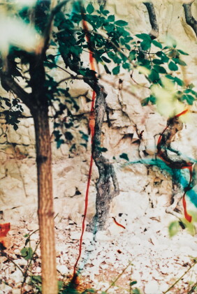 Catalog image of wolfgang tillmans | 'quarry ii', 2002
