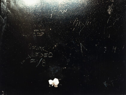 Catalog image of paul graham | untitled no.3, 1999 (from the series paintings)
