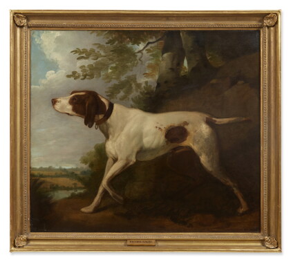 Catalog image of An English Pointer in a Landscape
