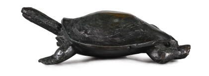 Catalog image of nicola hicks | tortoise