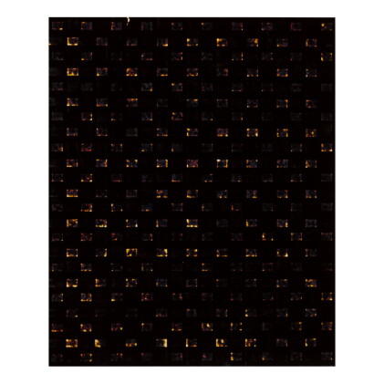 Catalog image of marco breuer | 'untitled (c-116)'
