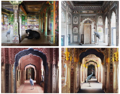 Catalog image of i: holding of vigilance, samode palace 5 (from the series india song, 2008 – 20…