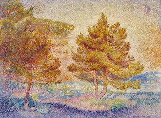 View 1 of Lot 35: Pins