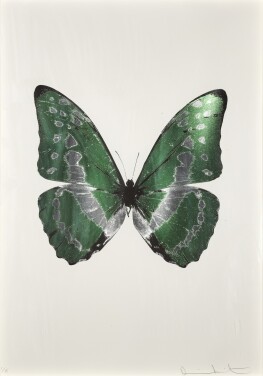 View 1 of Lot 61: The Souls III (Leaf Green/Silver Gloss/Raven Black)