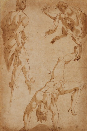 Catalog image of marco marchetti, called marco da faenza | studies of acrobats