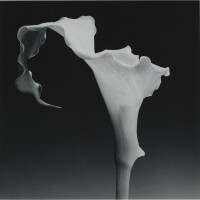 View 2 of Auction: Photographs Part II