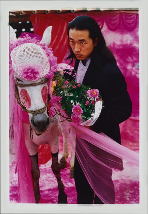 Catalog image of wang jin 王晉 | marriage to a mule 娶頭驢子