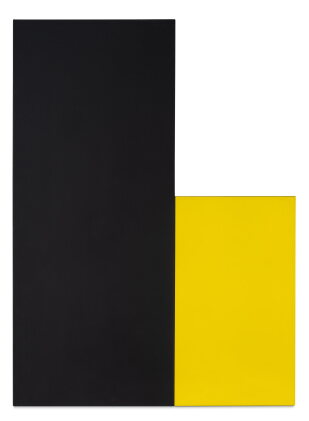 Catalog image of Yellow Black