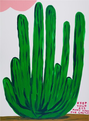 View 1 of Lot 241: Keep Your Ass Away From The Cactus